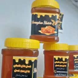 عسل درجه یک گشنیز به همراه اشانتیون 