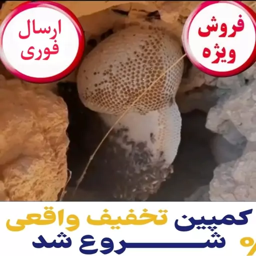 عسل طبیعی  آویشن کوهی(ارسال فوری)