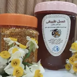 عسل طبیعی تغذیه گل و گیاه مزرعه مجموعه صدای حکیم 