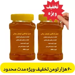 عسل گزانگبین ساکارز زیر یک درصد (دو کیلویی) ارسال رایگان