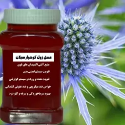 عسل زول (بوقناق) خرید از زنبوردار ارسال رایگان