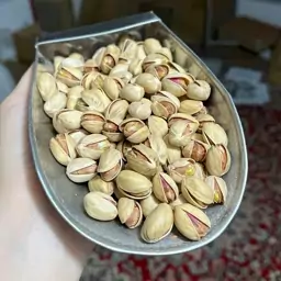 پسته فندقی  شور ساده  محصول 1403 ( 500 گرمی ) 