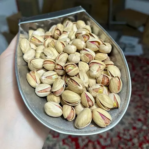 پسته فندقی دستچین خام محصول 1403 ( 1000 گرمی ) 