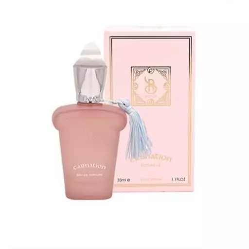 عطر جیبی برندینی کارنشن Brandini Carnation مردانه و زنانه