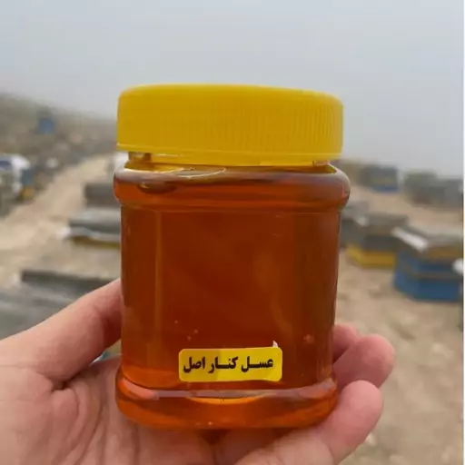 عسل کنار اصل  ( نیم کیلویی ) برداشت خوزستان