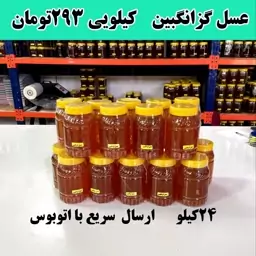 خرید عسل طبیعی گزانگبین عمده( 24 کیلو در ظرف های یک کیلویی ) ارسال با اتوبوس 