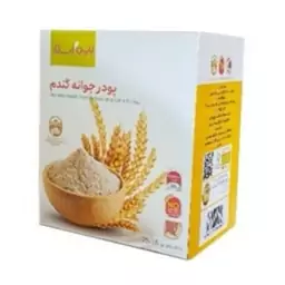 پودر جوانه گندم بین-استار 25 ساشه ای اصل