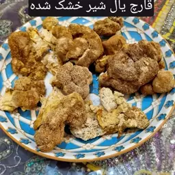 قارچ یال شیر خشک شده وزن 100 گرم