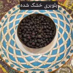 میوه بلوبری خشک شده وزن 100 گرم