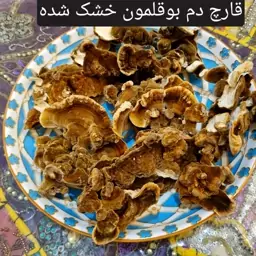 قارچ دم بوقلمون (ترکی تیل) وزن 100 گرم