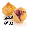 زرین تین