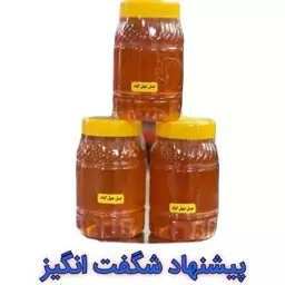 عسل چهل گیاه کوهستان (یک کیلویی)