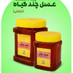 عسل چندگیاه(دیابتی)500گرم