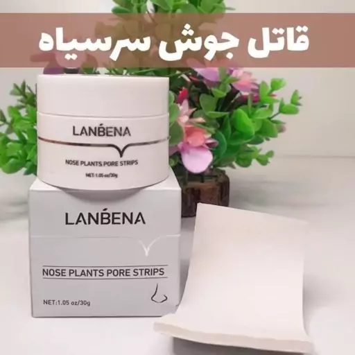 چسب بینی کاسه ای لانبنا محصول فوق حرفه ای