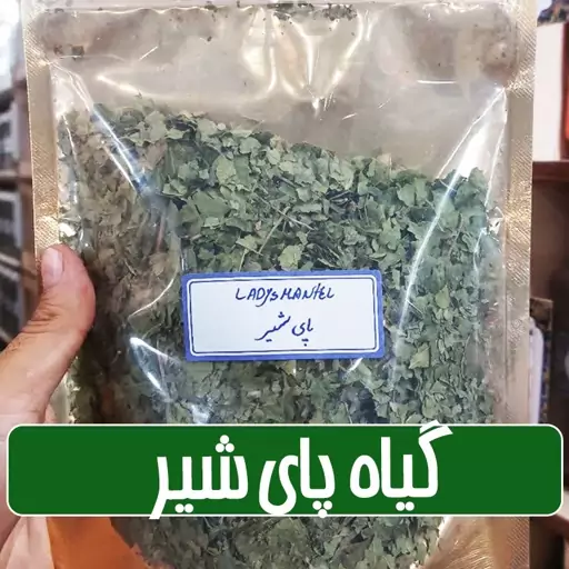 گیاه پای شیر یا پنجه شیر یا شنل بانو - 100 گرمی