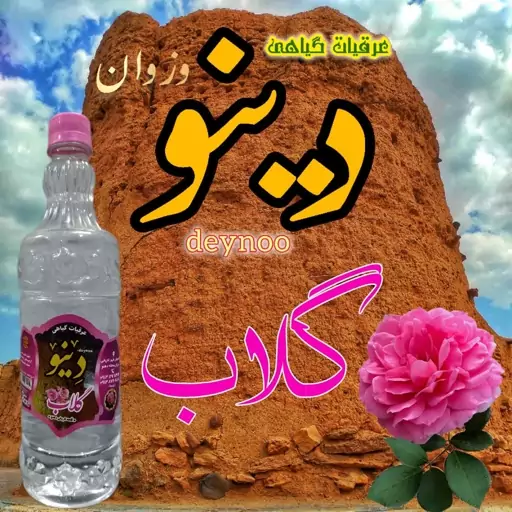 گلاب دینو (معمولی)