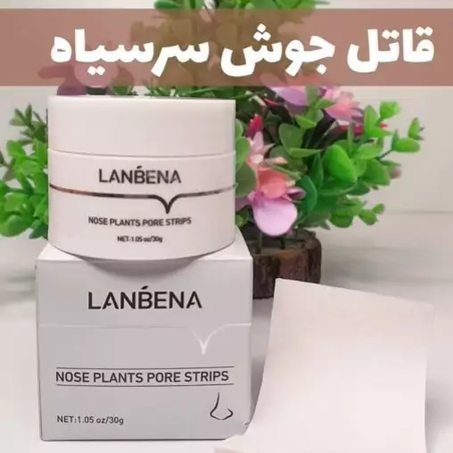 چسب بینی لانبنا اصل