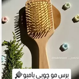 برس چوبی بامبو