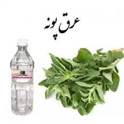 عرق پونه