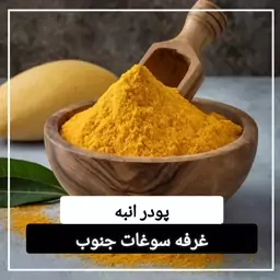 پودر انبه اعلا و درجه یک (100 گرمی) ادویه مخصوص فلافل