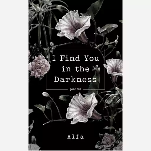 کتاب I Find You in the Darkness