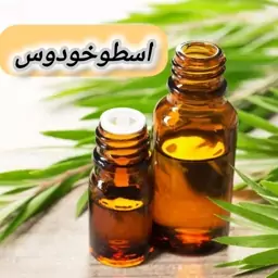 روغن اسطوخودوس خالص (120 گرمی) روغن کده آرامش 