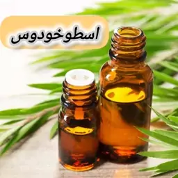 روغن اسطوخودوس خالص(30 گرمی) روغن کده آرامش