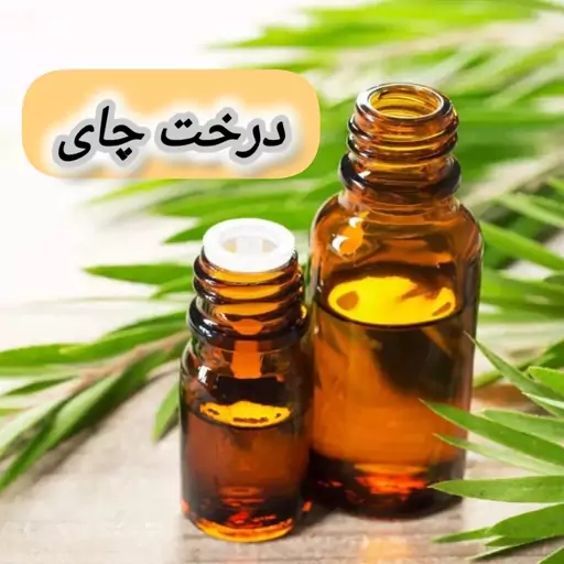 روغن درخت چای خالص (60گرمی) روغن کده آرامش 