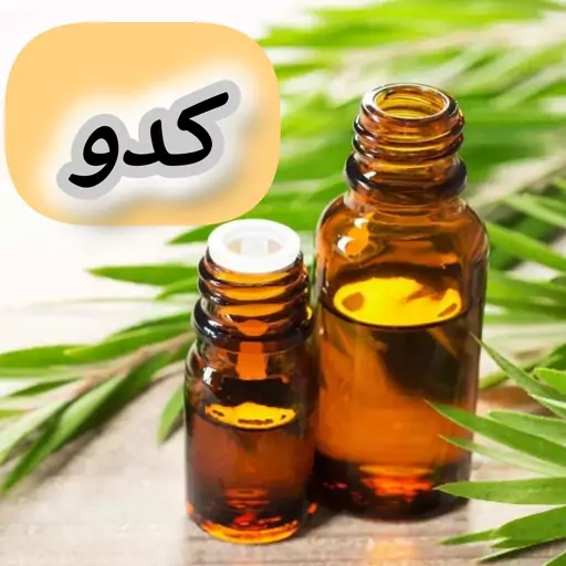 روغن تخم کدو خالص (30 گرمی) روغن کده آرامش 