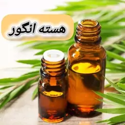 روغن هسته انگور خالص (20 گرمی) روغن کده آرامش 