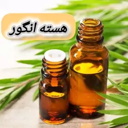 روغن هسته انگور خالص (30 گرمی) روغن کده آرامش 