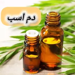 روغن دم اسب خالص (20 گرمی) روغن کده آرامش 