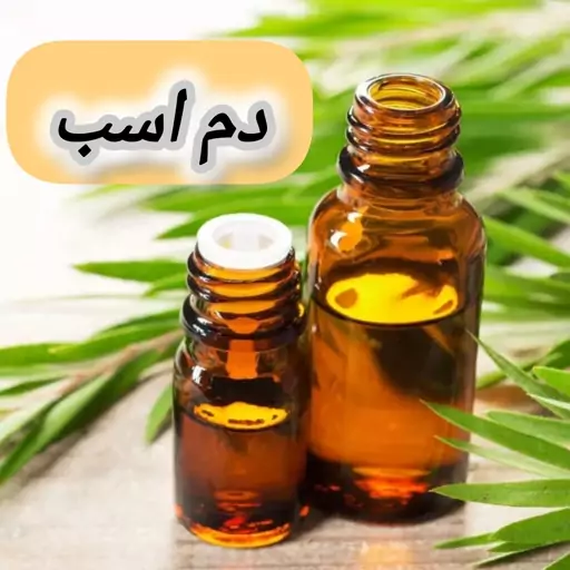 روغن دم اسب خالص (120 گرمی) روغن کده آرامش 