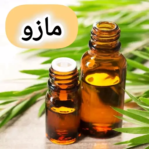 روغن مازو خالص (60 گرمی) روغن کده آرامش 