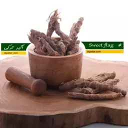 ریشه اگیر ترکی 100 گرمی