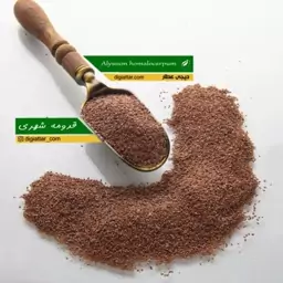 قدومه شهری 150 گرمی