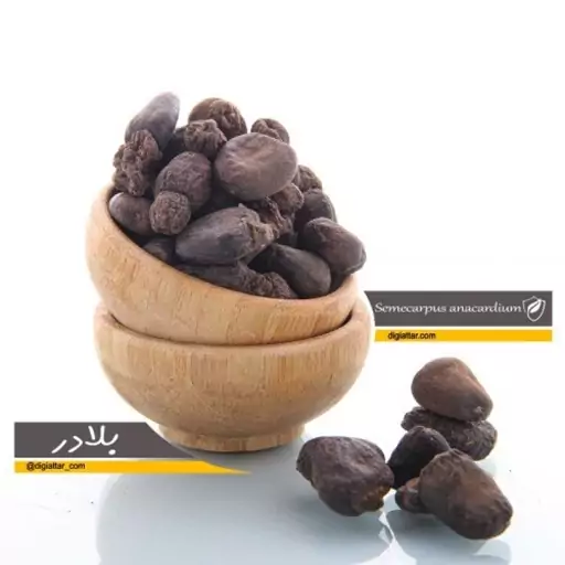 بلادر 100 گرمی