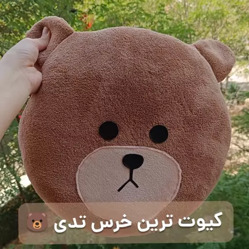 کوسن عروسکی فانتزی خرس تدی پارچه تدی شکلاتی 