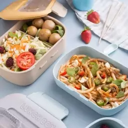 ظرف غذای lunch box (لطفاً قبل از سفارش موجودی بگیرید)