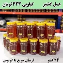 عسل گشنیز عمده کیلویی 323 تومن(24کیلو در ظرف های یک کیلویی ) ارسال با اتوبوس