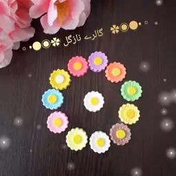 پیکسل گل بابونه 