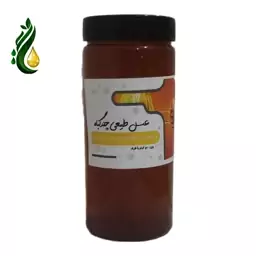 عسل طبیعی کوهستان نگین دانه (1000گرم)