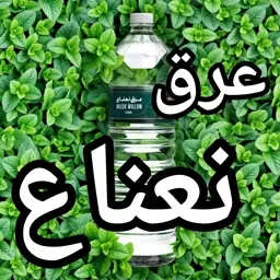 عرق نعناع درجه یک سنتی ، نیم لیتری 