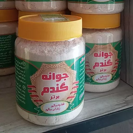 جوانه گندم 