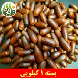 بلوط درجه یک ظرافت 1 کیلویی