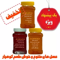 عسل های خوش طعم و پرخاصیت کوهیار