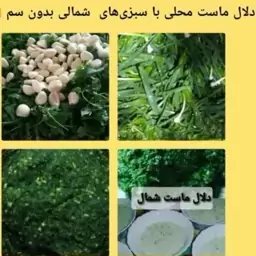 دلال ماست یا دلار یا نمک سبز شمال