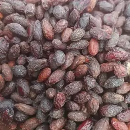 زغال اخته خشک خورشتی  (500 گرمی)