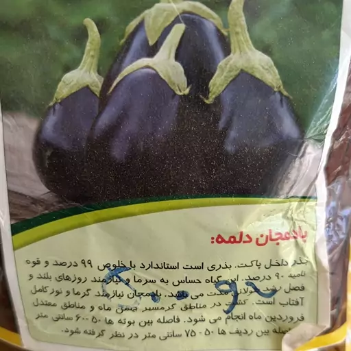 بذر بادمجان دلمه