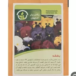 بذر گل بنفشه